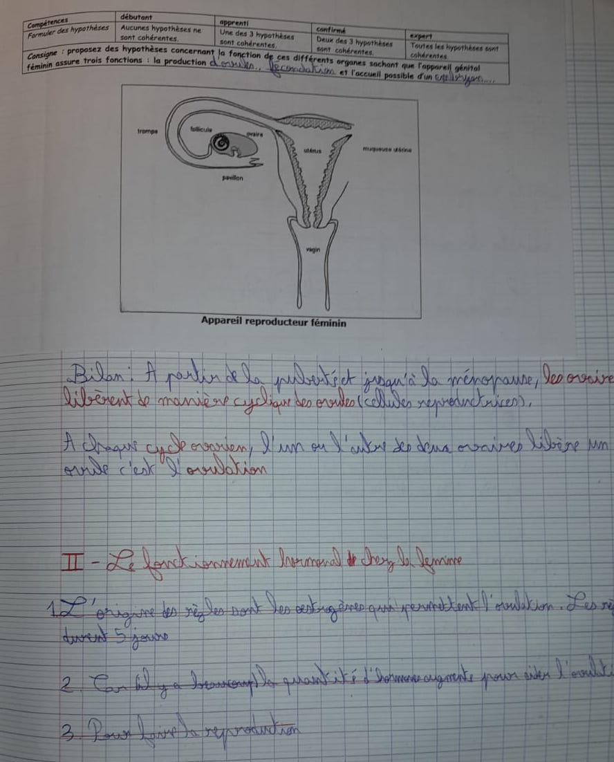 Notes - Appareil féminin