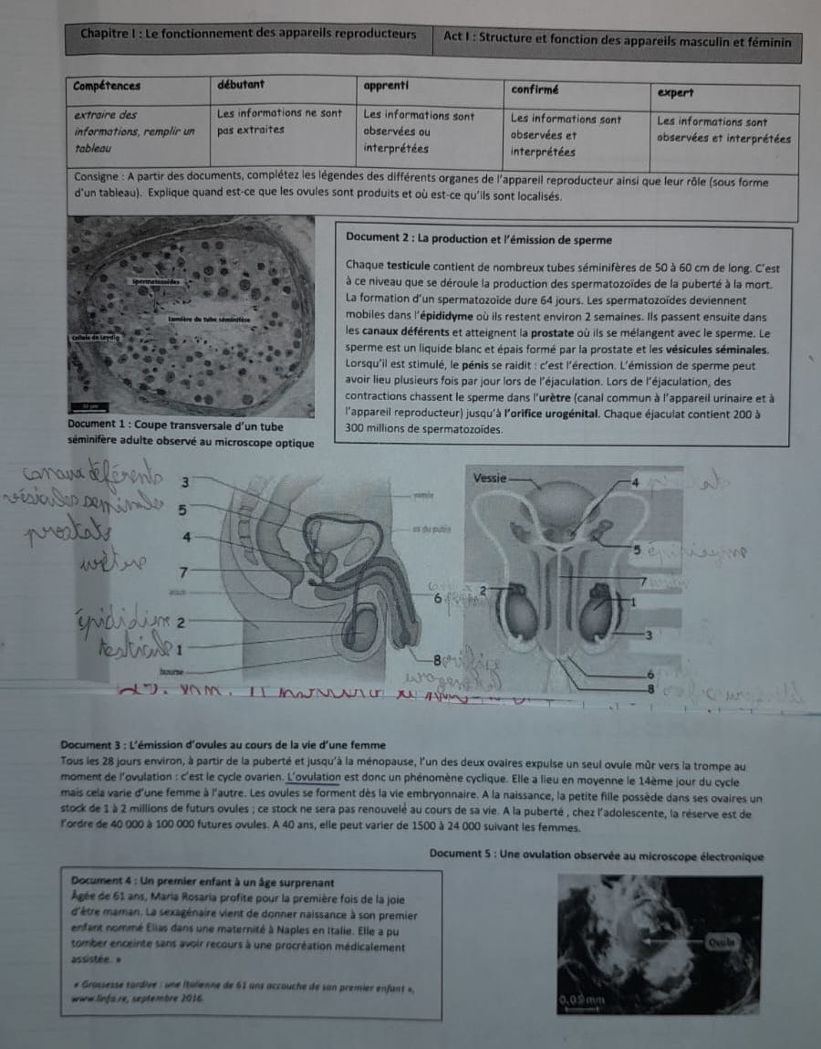 Notes - Appareils reproducteurs