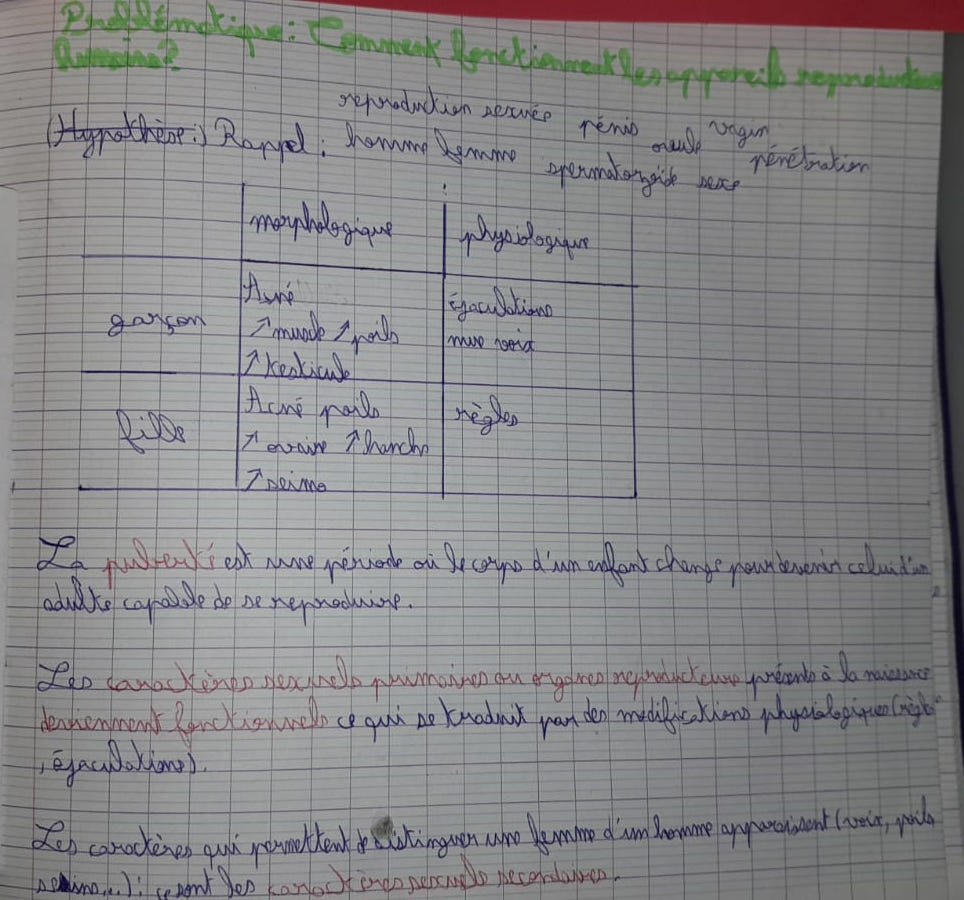 Notes - Puberté